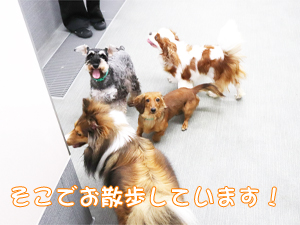 夏のＷａｎ活♪
